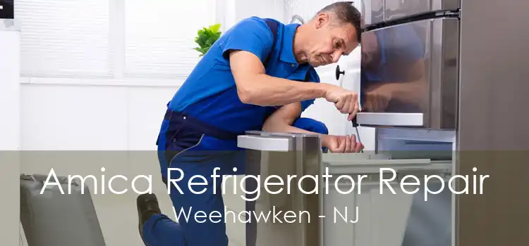 Amica Refrigerator Repair Weehawken - NJ