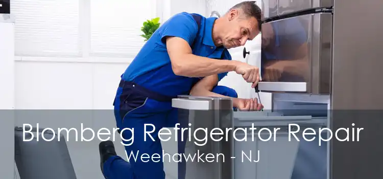 Blomberg Refrigerator Repair Weehawken - NJ