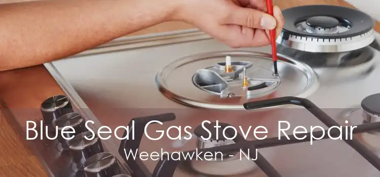 Blue Seal Gas Stove Repair Weehawken - NJ