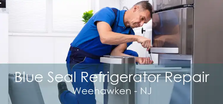 Blue Seal Refrigerator Repair Weehawken - NJ