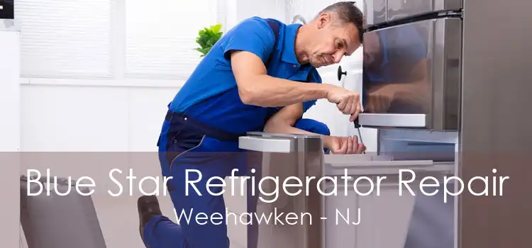 Blue Star Refrigerator Repair Weehawken - NJ