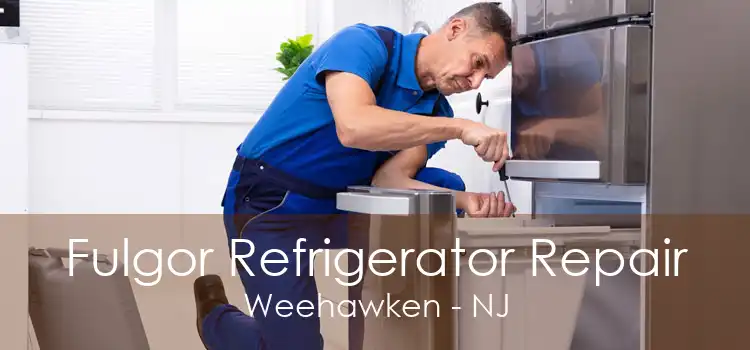 Fulgor Refrigerator Repair Weehawken - NJ