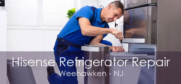 Hisense Refrigerator Repair Weehawken - NJ