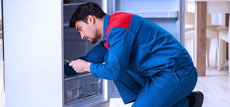 Freezer Repair Services in Weehawken, New Jersey