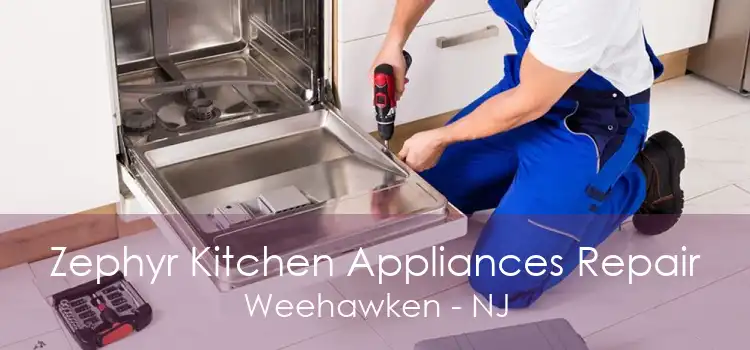 Zephyr Kitchen Appliances Repair Weehawken - NJ